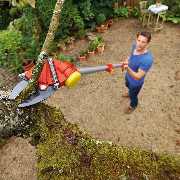 Tree Cutter RR 400 T